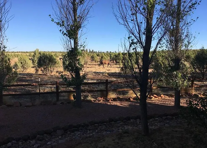 Holiday home With Wild Horses, Fireplace, Dog Friendly & Starlink