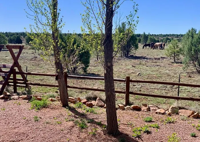 With Wild Horses, Fireplace, Dog Friendly & Starlink Holiday home *