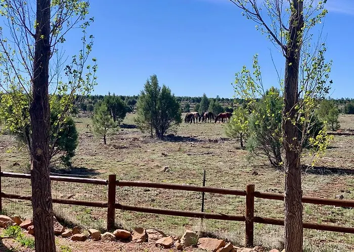 With Wild Horses, Fireplace, Dog Friendly & Starlink Holiday home