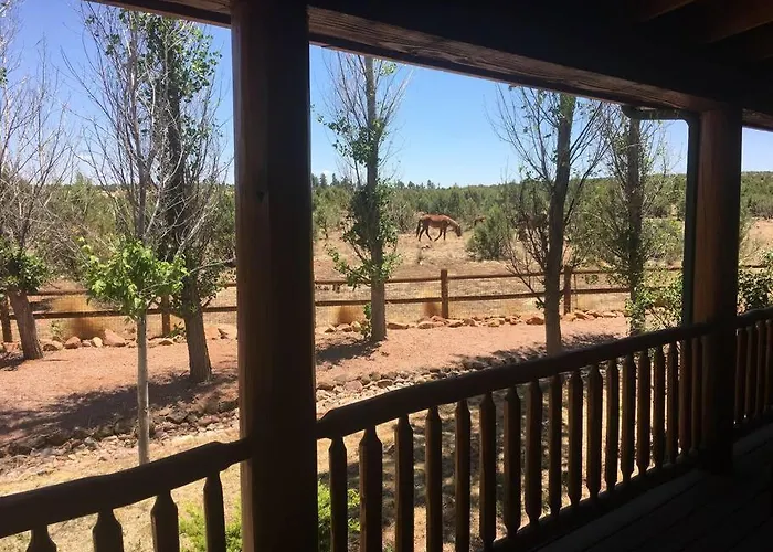 With Wild Horses, Fireplace, Dog Friendly & Starlink