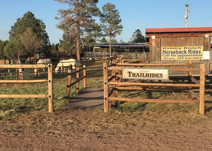 With Wild Horses, Fireplace, Dog Friendly & Starlink