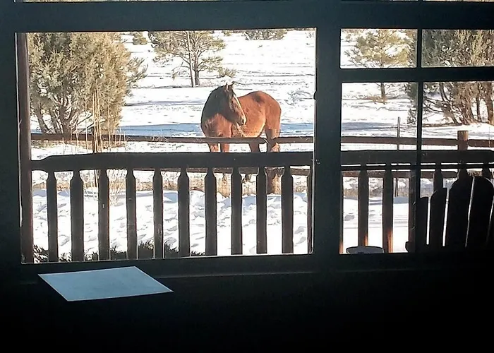 With Wild Horses, Fireplace, Dog Friendly & Starlink